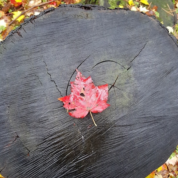 Meet your Posher, Jenn - Picture 1 of 1